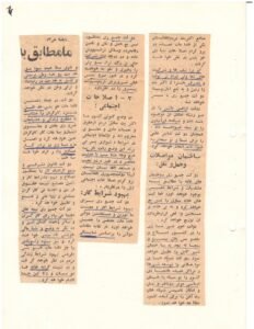 Newspapper Article Image 7